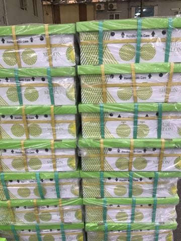  Dưa Giống Nhật Musk Melon 