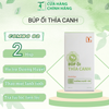 Trà Búp Ổi Thìa Canh COMBO 2 hộp