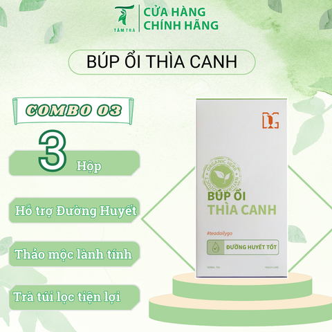  Trà Búp Ổi Thìa Canh COMBO 3 hộp 