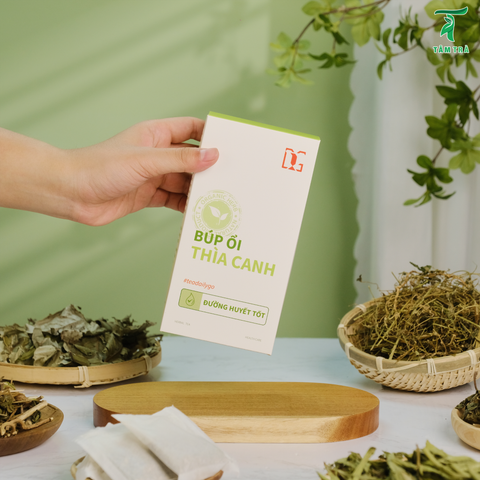  Trà Búp Ổi Thìa Canh COMBO 4 hộp 