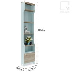 Tủ kệ quần áo phong cách hiện đại, phù hợp nhà phố, chung cư