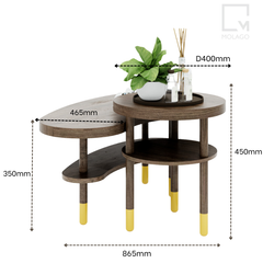 Bộ bàn trà gỗ phòng khách, kiểu dáng hiện đại, chắc chắn