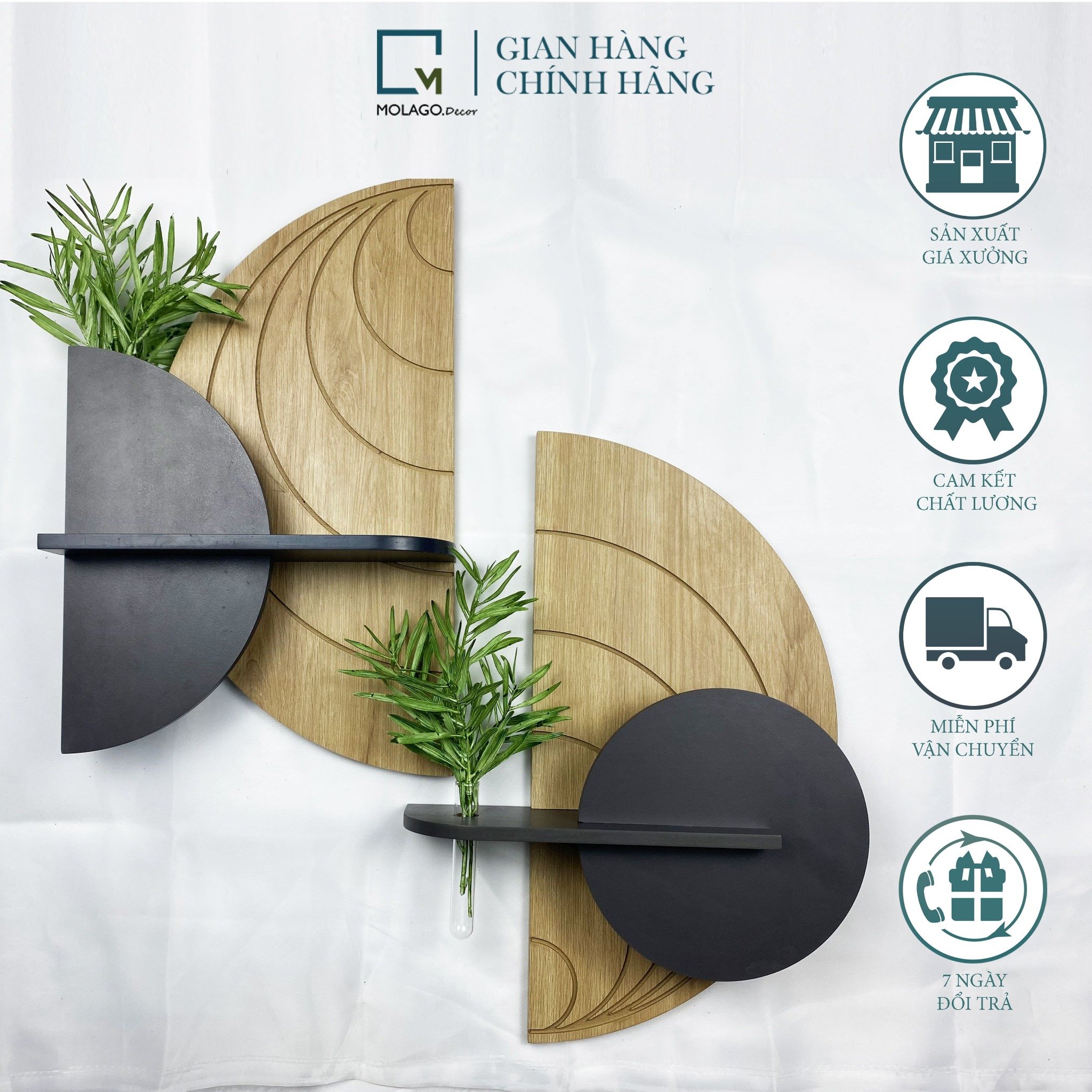 Kệ gỗ dán tường bán nguyệt vân gỗ nhạt BB - V | Molago