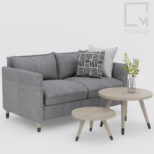 Bộ sofa băng kết hợp bộ bàn trà gỗ CB003 Silvan | Molago