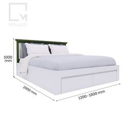Giường ngủ gỗ tự nhiên phong cách tối giản sang trọng