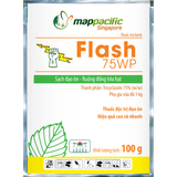  Flash 75WP 