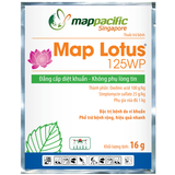  Map Lotus 125WP 