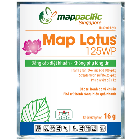  Map Lotus 125WP 