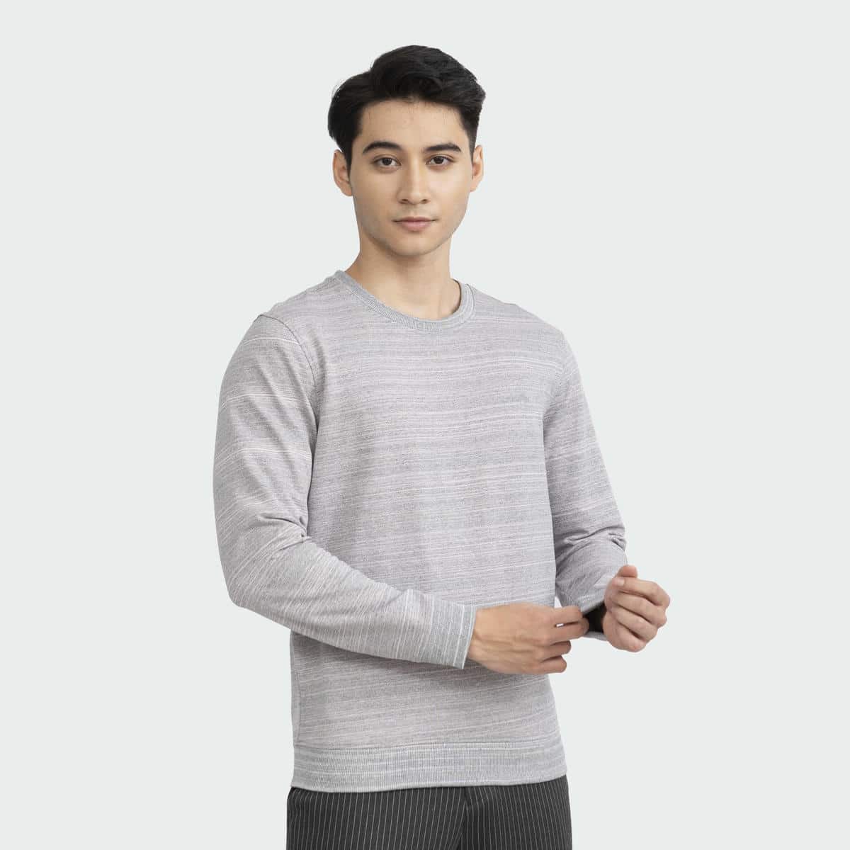 Áo nỉ Sweatshirt Nam Aristino Cotton Regular Fit ASWR02