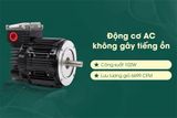  Quạt trần Hunter MariBel HH50557 
