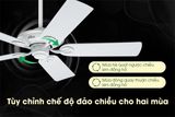  Quạt trần Hunter MariBel HH50557 