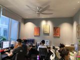  Quạt Trần Luxaire Simple 