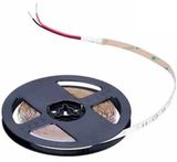  Đèn Led Dây LS155 G4 Philips 