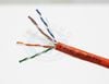  Dây Cáp Mạng CAT 6  TEASUNG 