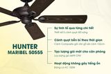  HUNTER MARIBEL 50555 