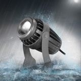  Đèn Rọi Chuột Ngoài Trời 10W 