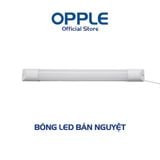  Đèn Tuýp Bán Nguyệt 