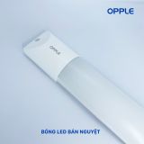  Đèn Tuýp Bán Nguyệt 