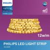  LED Dán DLI320 Philips 