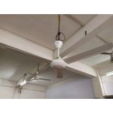  Quạt Trần AC 3 Cánh ACF01A563 