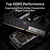  Bộ nhớ trong Kingspec 16GB DDR5 5200 PC_KS5200D5P11016G 