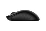  Chuột không dây Rapoo B20 Silent 2.4G 