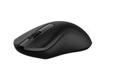 Chuột không dây Rapoo B20 Silent 2.4G 