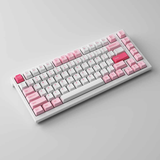  Bàn phím cơ MonsGeek MG75 Prunus Lannesiana (White LED / AKKO sw v3) 