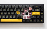  Bàn phím cơ AKKO 3068B Plus Black&Gold (Bluetooth 5.0 / Wireless 2.4Ghz / Hotswap / Foam tiêu âm / AKKO CS Jelly sw) 