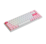  Bàn phím cơ AKKO 3068B Multi-modes Prunus Lannesiana (Bluetooth 5.0 / Wireless 2.4Ghz / Hotswap / Foam tiêu âm / AKKO CS Jelly sw) 