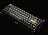  Bàn phím cơ AKKO 3068B Plus Black&Gold (Bluetooth 5.0 / Wireless 2.4Ghz / Hotswap / Foam tiêu âm / AKKO CS Jelly sw) 