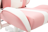  Ghế game Warrior Raider Series – WGC206 Plus White/Pink 
