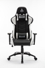  GHẾ CHƠI GAME WARRIOR - RAIDER SERIES - WGC206 (BLACK/WHITE) 