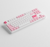  Bàn phím AKKO 3087 Plus Prunus Lannesiana (Foam tiêu âm / AKKO CS switch) 