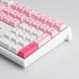  Bàn phím cơ MonsGeek MG108 Prunus Lannesiana (White LED / AKKO cs switch) 