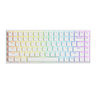  Bàn phím AKKO 3084 v2 RGB – White (Foam tiêu âm / Hotswap / AKKO CS Jelly switch) 