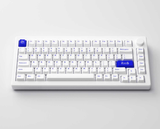  Bàn phím cơ AKKO MOD007 PC Blue on White (Hotswap / Gasket Mount / Clacky / Mạch Xuôi) 