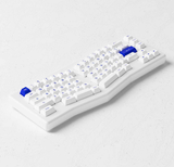  Bàn phím AKKO ACR Pro Alice Plus (Spray Painted White / RGB / Hotswap / AKKO CS Crystal / Gasket Mount) 