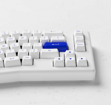  Bàn phím AKKO ACR Pro Alice Plus (Spray Painted White / RGB / Hotswap / AKKO CS Crystal / Gasket Mount) 