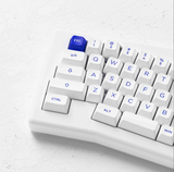  Bàn phím AKKO ACR Pro Alice Plus (Spray Painted White / RGB / Hotswap / AKKO CS Crystal / Gasket Mount) 