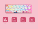  Bàn phím cơ AKKO 3068B Plus World Tour Tokyo R2 (Bluetooth 5.0 / Wireless 2.4Ghz / Hotswap / Foam tiêu âm / AKKO CS Jelly Pink) 