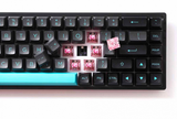  Bàn phím cơ AKKO 3068B Plus Black&Cyan (Bluetooth 5.0 / Wireless 2.4Ghz / Hotswap / Foam tiêu âm / AKKO CS Jelly Pink) 