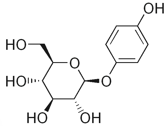  Alpha Arbutin 