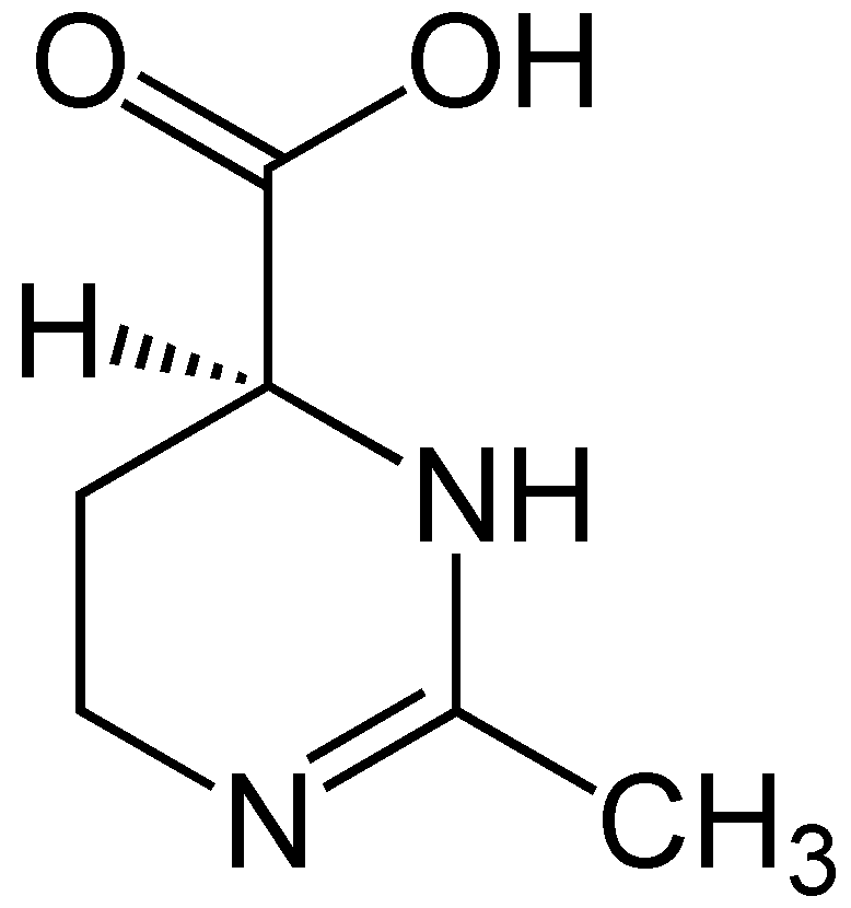  ECTOIN 
