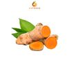 Frozen Turmeric