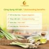 Sả đông lạnh
