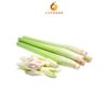 Frozen Lemongrass