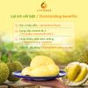 Frozen Durian