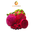 Frozen Dragon Fruit