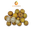 Frozen Longan Fruit